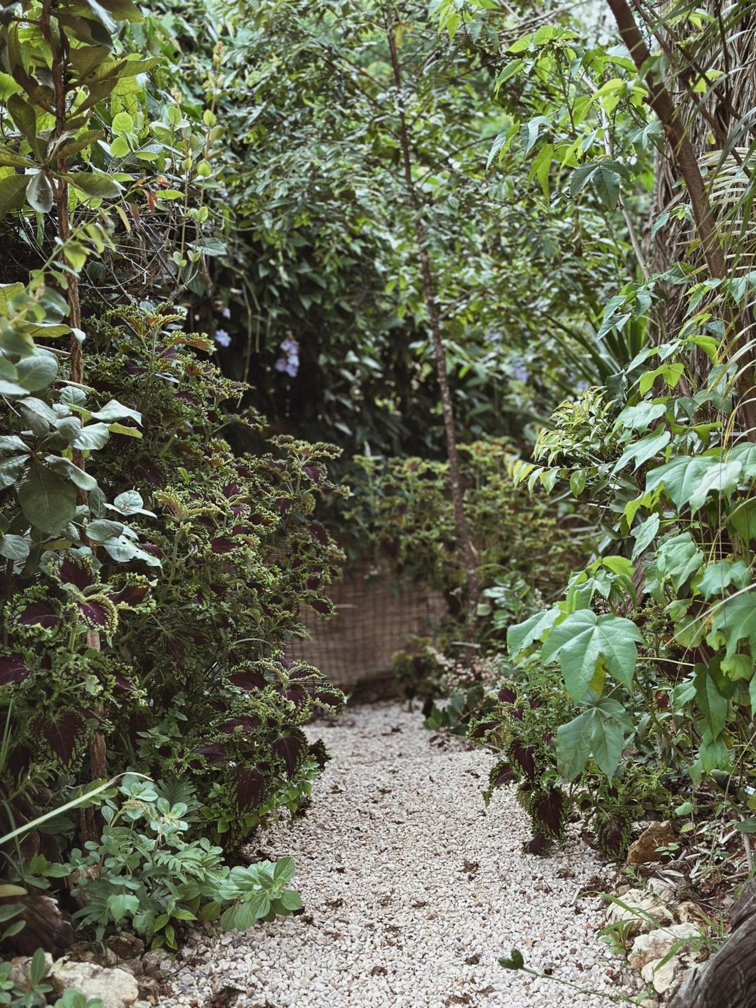 Vila Abaton Alto Paraiso de Goias Luaran gambar